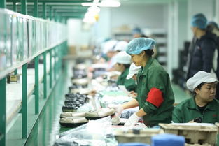拼多多賦能“拼工廠”，深圳試點透明化生產，麥秸畫傳統工藝觸網新生